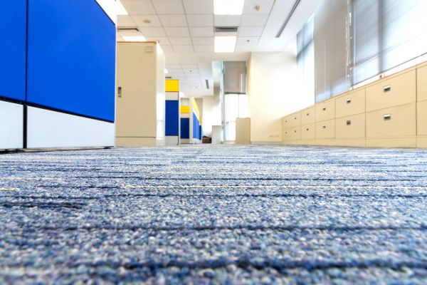 Business Carpet Cleaning in Niceville