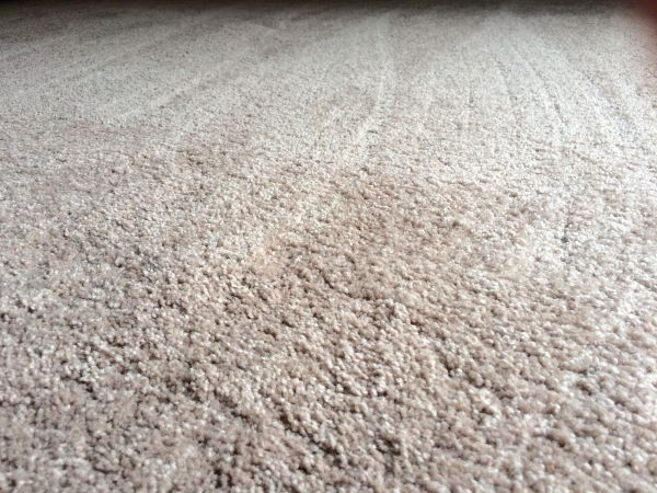 Plush Carpet Installation in Niceville