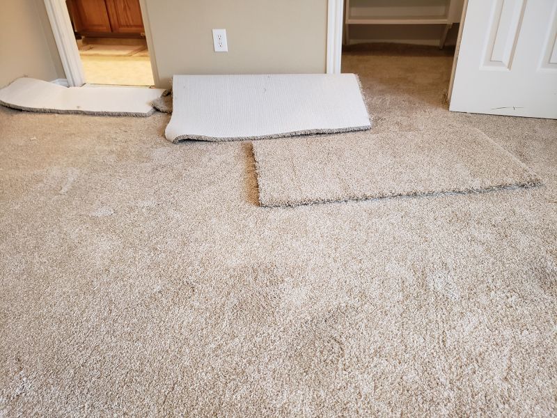 Residential Carpet Replacement